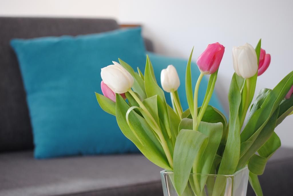 Ferienwohnung An Der Gramme Niederzimmern Zewnętrze zdjęcie