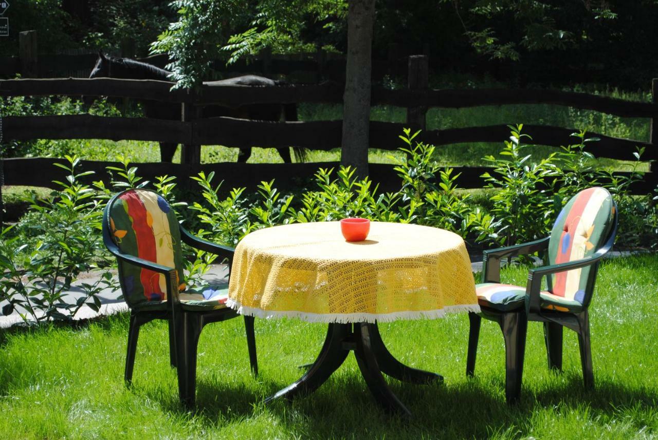 Ferienwohnung An Der Gramme Niederzimmern Zewnętrze zdjęcie
